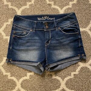 Wallflower Denim Shorts Size 9